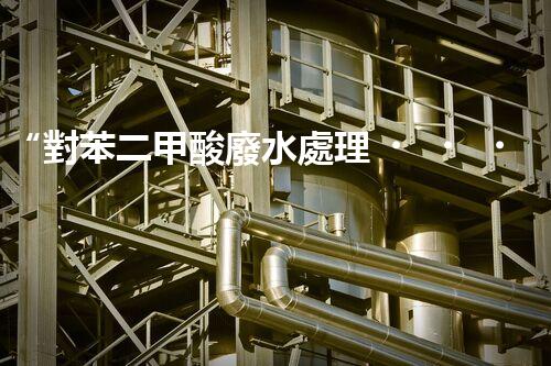 “對苯二甲酸廢水處理，綠色創(chuàng)新引領(lǐng)環(huán)保新篇章”